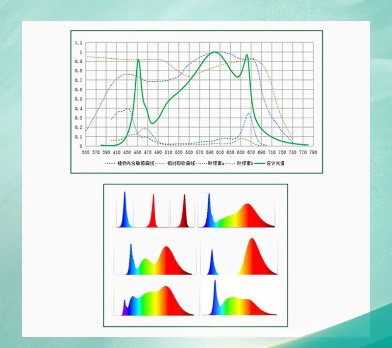永信贵宾会-欢迎您