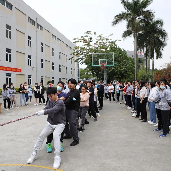 图片 16816945455409004.jpg