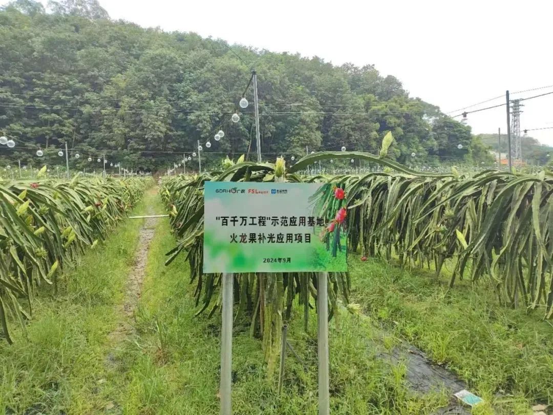 微信图片_20250206090354.jpg 微信图片_20250206090354.jpg